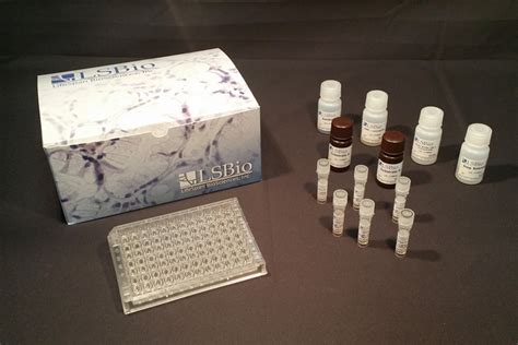 mouse testosterone elisa kit